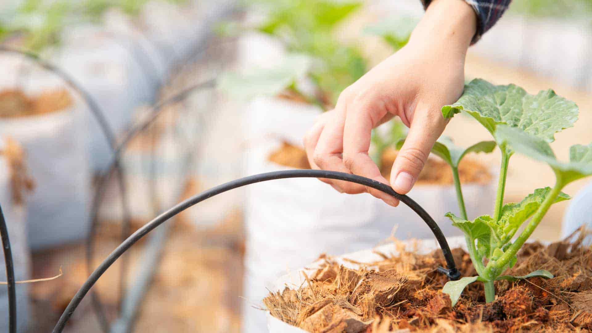 ¿Cómo el riego inteligente combate la escasez de agua y garantiza el futuro agrícola?